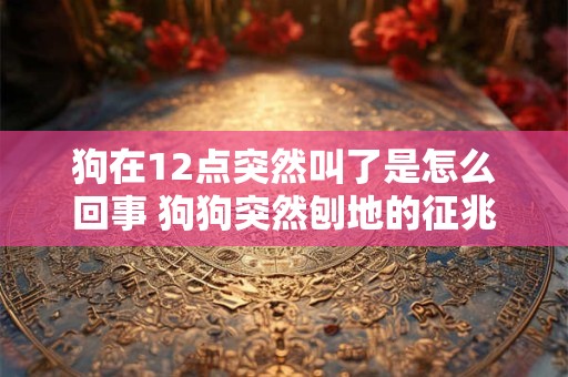 狗在12点突然叫了是怎么回事 狗狗突然刨地的征兆