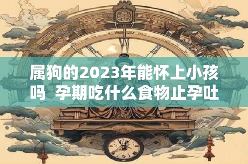 属狗的2023年能怀上小孩吗  孕期吃什么食物止孕吐