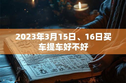 2023年3月15日、16日买车提车好不好