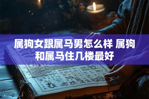 属狗女跟属马男怎么样 属狗和属马住几楼最好