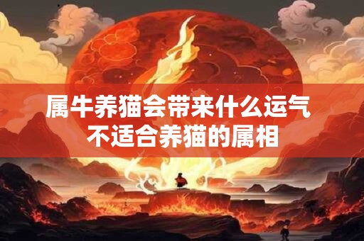 属牛养猫会带来什么运气 不适合养猫的属相