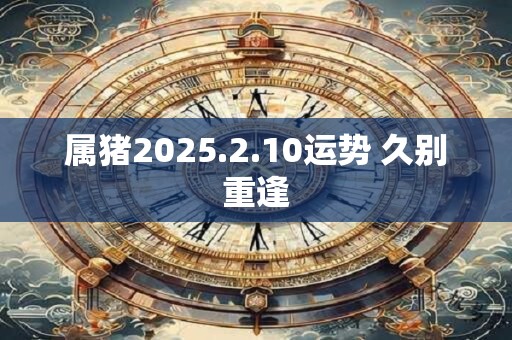 属猪2025.2.10运势 久别重逢