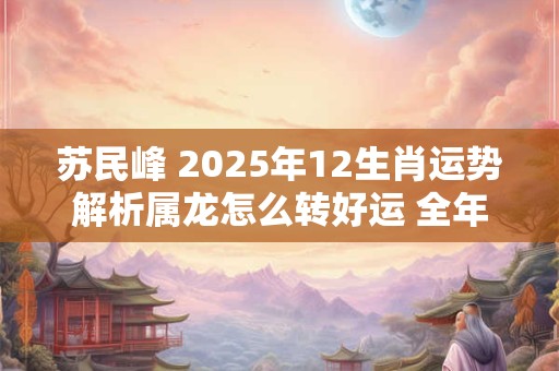 苏民峰 2025年12生肖运势解析属龙怎么转好运 全年每月运势