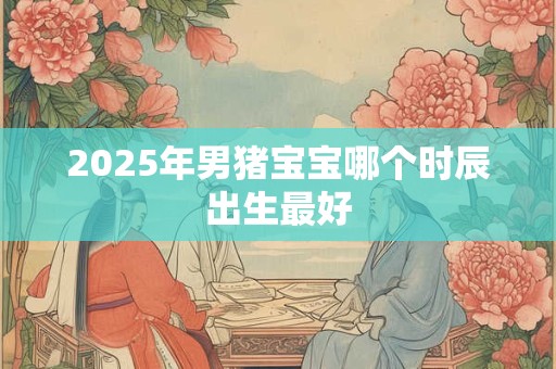 2026年男猪宝宝哪个时辰出生最好