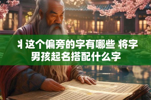 丬这个偏旁的字有哪些 将字男孩起名搭配什么字
