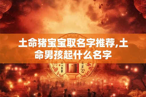 土命猪宝宝取名字推荐,土命男孩起什么名字