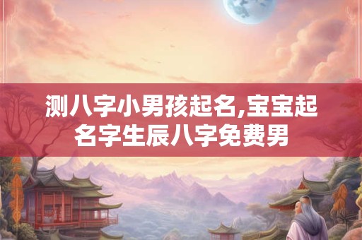 测八字小男孩起名,宝宝起名字生辰八字免费男