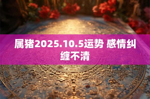 属猪2025.10.5运势 感情纠缠不清