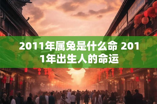 2011年属兔是什么命 2011年出生人的命运