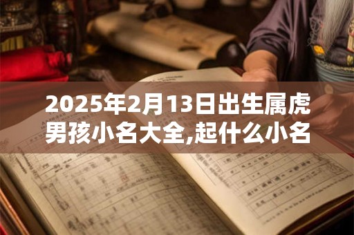 2025年2月13日出生属虎男孩小名大全,起什么小名好