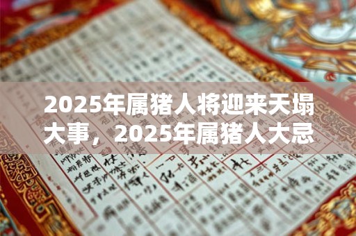 2025年属猪人将迎来天塌大事，2025年属猪人大忌