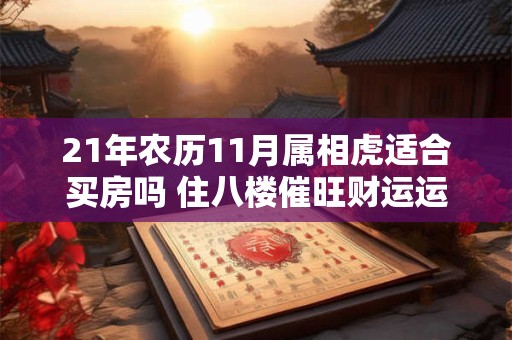 21年农历11月属相虎适合买房吗 住八楼催旺财运运势