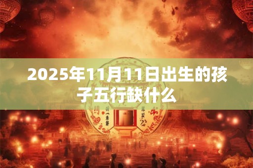 2025年11月11日出生的孩子五行缺什么
