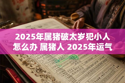 2025年属猪破太岁犯小人怎么办 属猪人 2025年运气如何