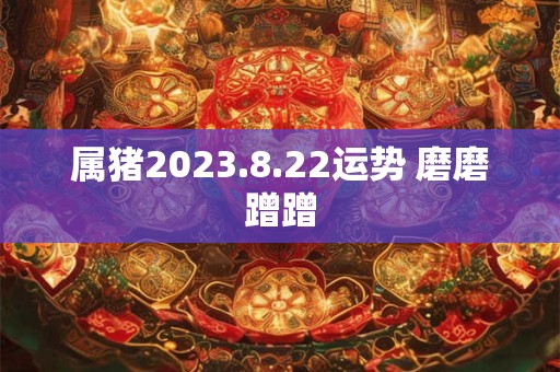 属猪2023.8.22运势 磨磨蹭蹭