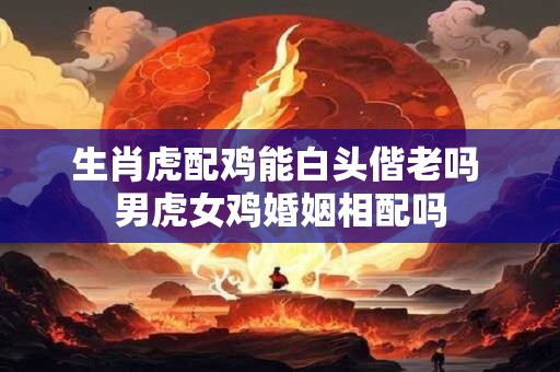 生肖虎配鸡能白头偕老吗 男虎女鸡婚姻相配吗