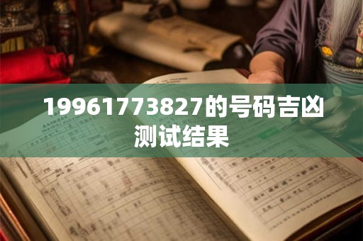 19961773827的号码吉凶测试结果