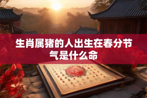 生肖属猪的人出生在春分节气是什么命