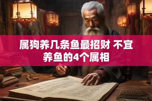 属狗养几条鱼最招财 不宜养鱼的4个属相