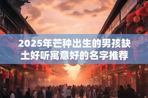 2025年芒种出生的男孩缺土好听寓意好的名字推荐