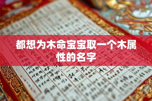 都想为木命宝宝取一个木属性的名字