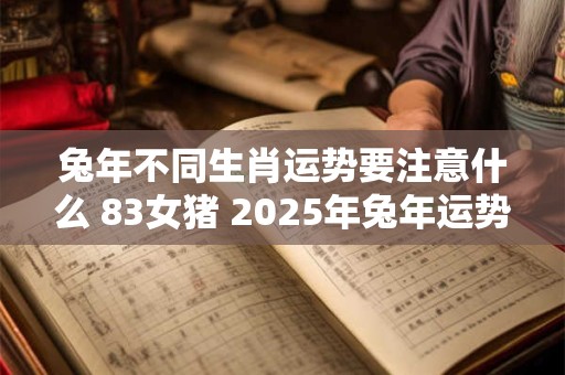 兔年不同生肖运势要注意什么 83女猪 2025年兔年运势