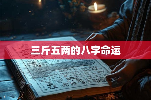 三斤五两的八字命运