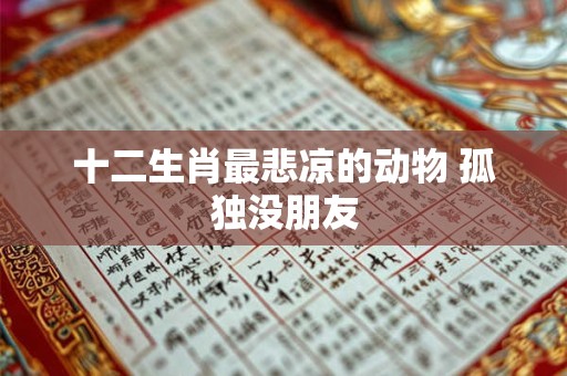 十二生肖最悲凉的动物 孤独没朋友
