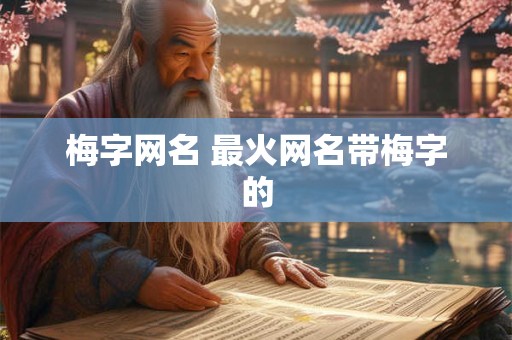 梅字网名 最火网名带梅字的