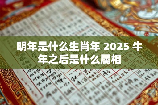明年是什么生肖年 2025 牛年之后是什么属相