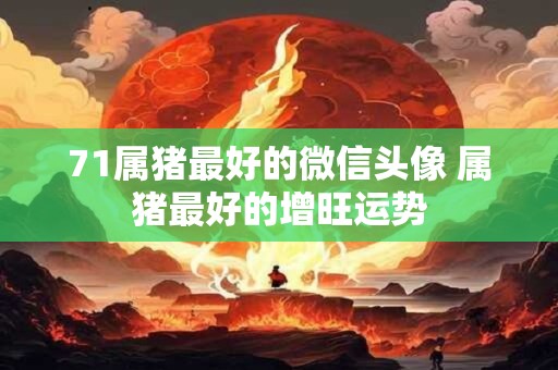 71属猪最好的微信头像 属猪最好的增旺运势