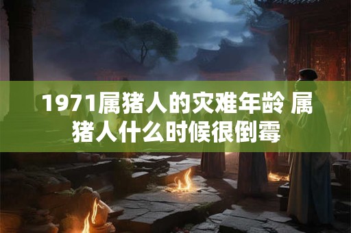 1971属猪人的灾难年龄 属猪人什么时候很倒霉