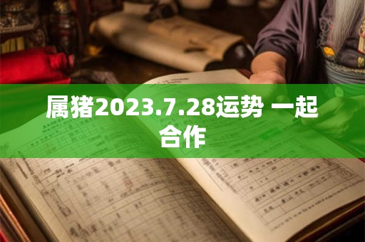 属猪2023.7.28运势 一起合作