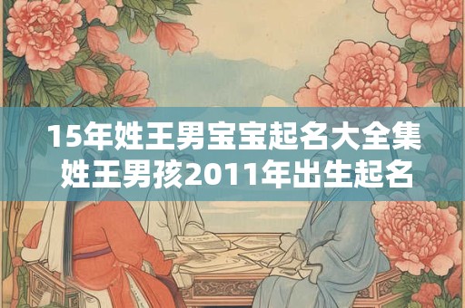 15年姓王男宝宝起名大全集 姓王男孩2011年出生起名字