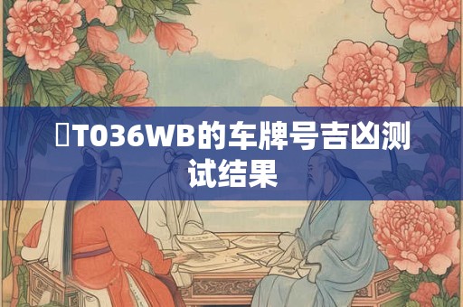 粵T036WB的车牌号吉凶测试结果