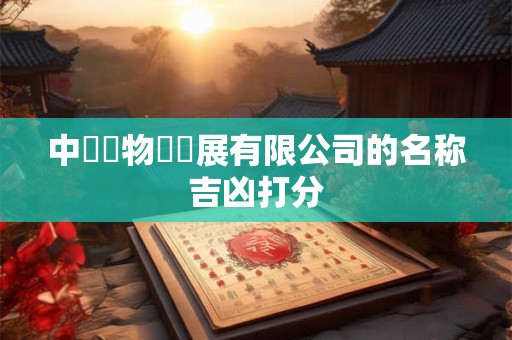 中偉鋼物聯發展有限公司的名称吉凶打分