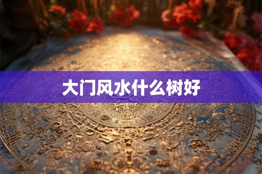 大门风水什么树好