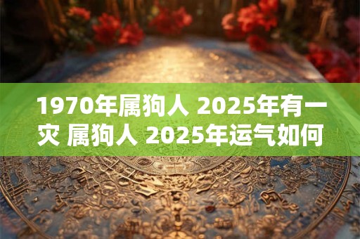 1970年属狗人 2025年有一灾 属狗人 2025年运气如何