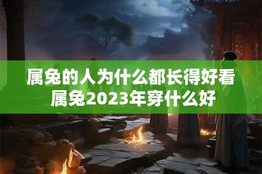 属兔的人为什么都长得好看 属兔2023年穿什么好