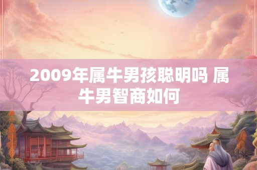 2009年属牛男孩聪明吗 属牛男智商如何 2009年属牛男孩聪明吗 属牛男智商如何