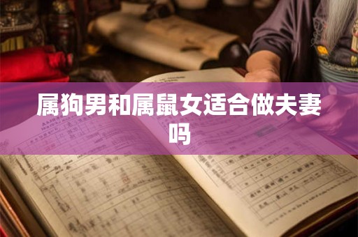 属狗男和属鼠女适合做夫妻吗