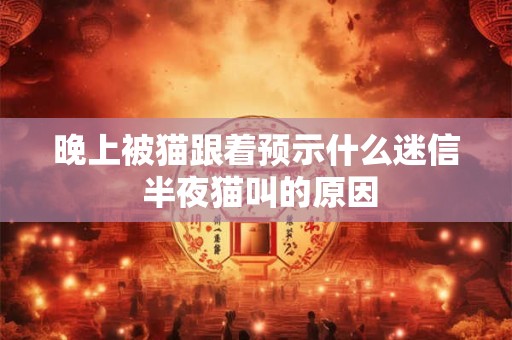晚上被猫跟着预示什么迷信 半夜猫叫的原因