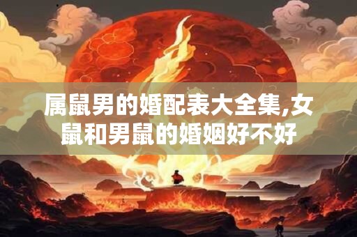 属鼠男的婚配表大全集,女鼠和男鼠的婚姻好不好