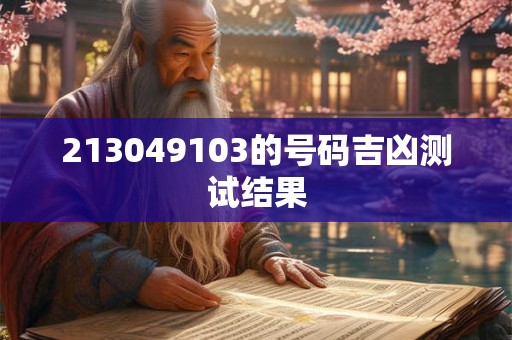 213049103的号码吉凶测试结果