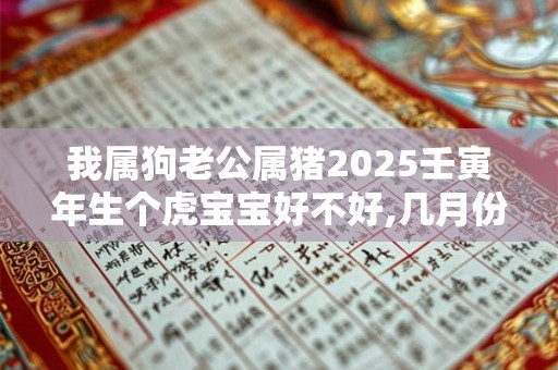 我属狗老公属猪2025壬寅年生个虎宝宝好不好,几月份的虎宝宝有福气？