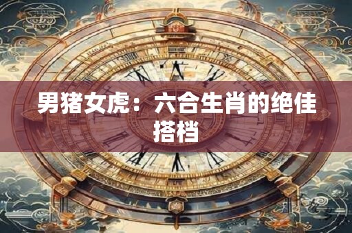 男猪女虎：六合生肖的绝佳搭档