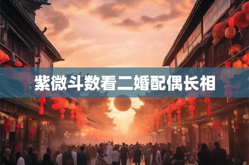 紫微斗数看二婚配偶长相