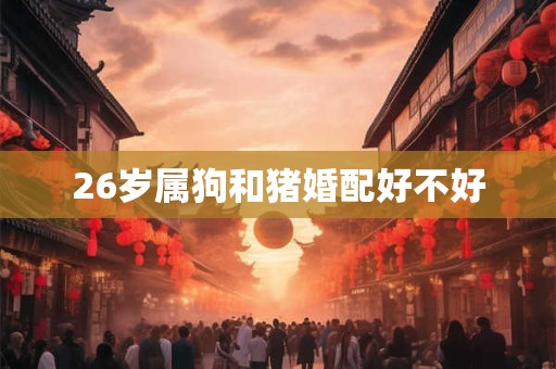 26岁属狗和猪婚配好不好