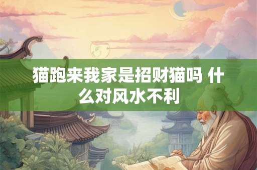 猫跑来我家是招财猫吗 什么对风水不利