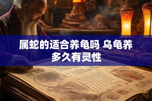 属蛇的适合养龟吗 乌龟养多久有灵性